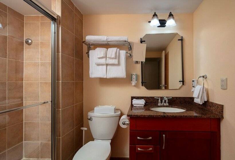 استودیوی استاندارد با تخت دوبل, Bluegreen At La Cabana Beach Resort & Casino