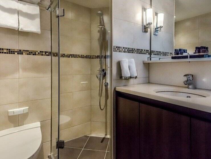 舒适型房间, Select Ms William Shakespeare   Düsseldorf