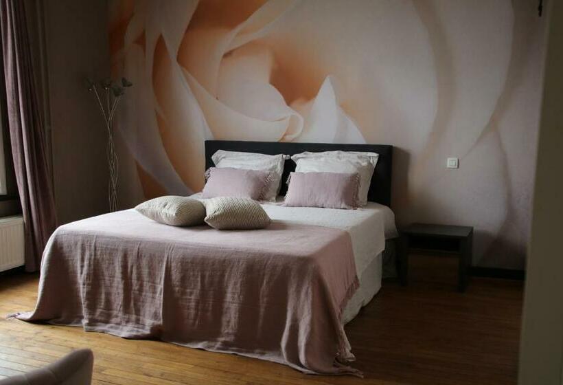 Номер Стандарт, B&b Het Doctershoes