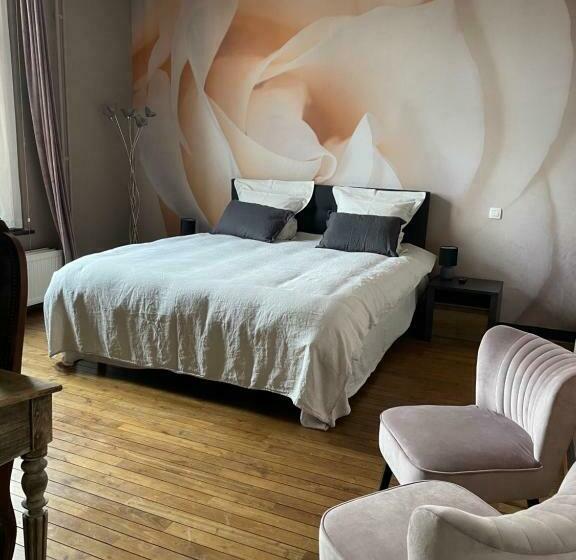 Номер Стандарт, B&b Het Doctershoes