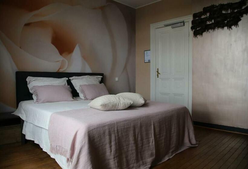 Номер Стандарт, B&b Het Doctershoes