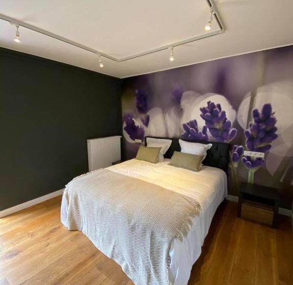 Номер Стандарт, B&b Het Doctershoes