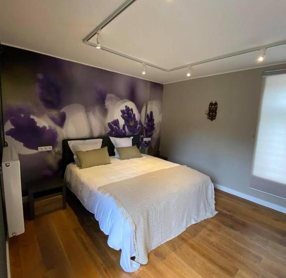 Номер Стандарт, B&b Het Doctershoes