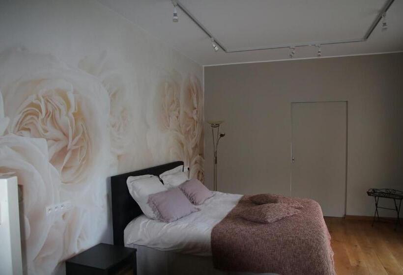 Семейный Номер Вид на Сад, B&b Het Doctershoes