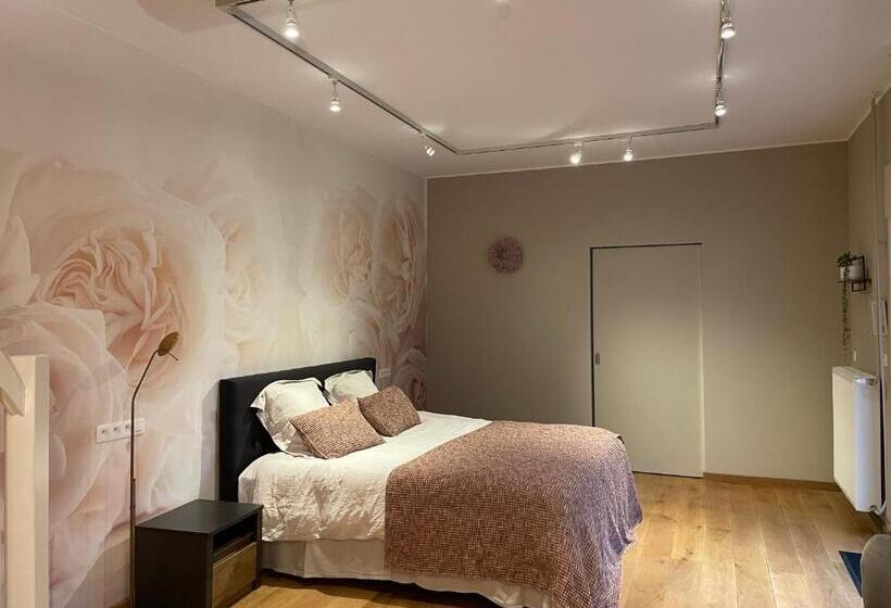 Семейный Номер Вид на Сад, B&b Het Doctershoes