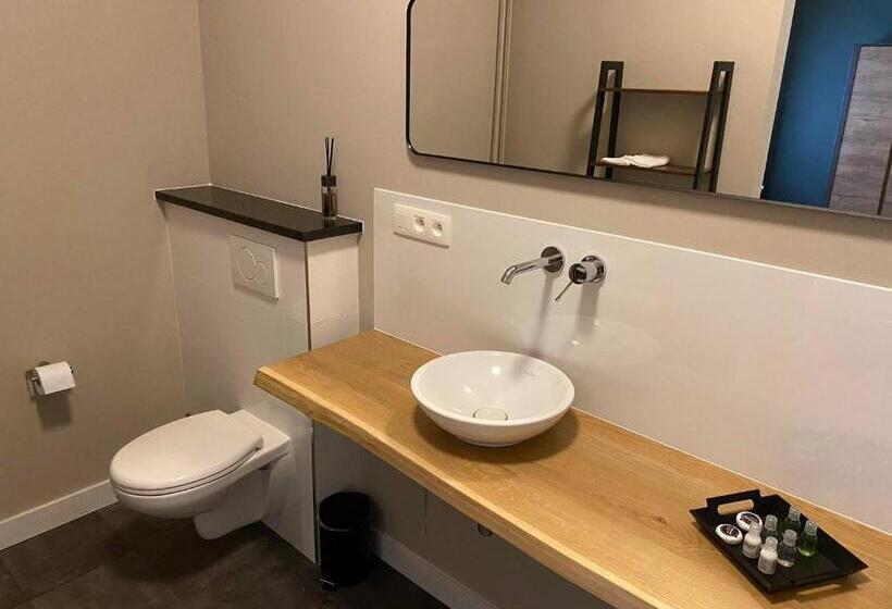 Номер Стандарт Вид на Бассейн, B&b Het Doctershoes