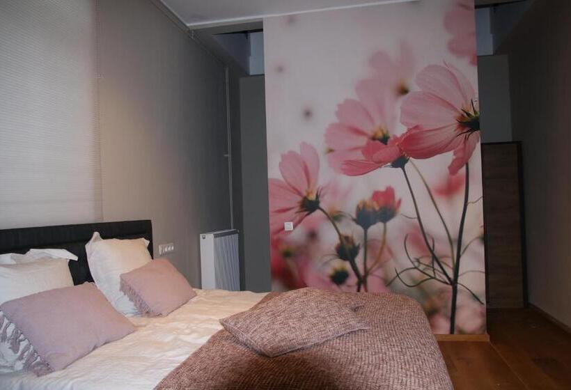 Семейный Номер, B&b Het Doctershoes