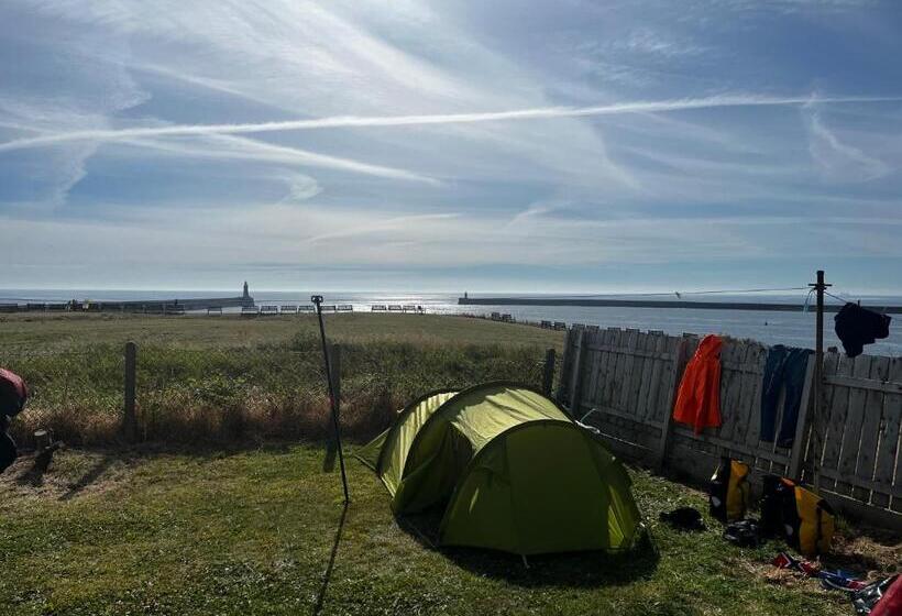 1ベッドルームハウス, The View