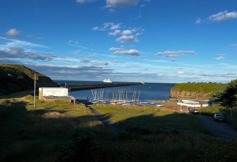 1ベッドルームハウス, The View