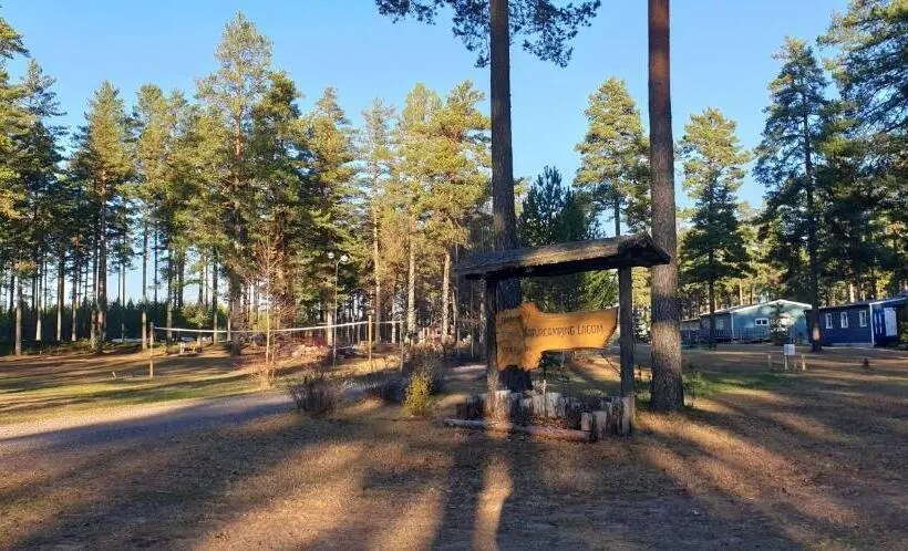 庭の見えるスタンダードトリプルルーム, Hostel And Vandrarhem Lupin Naturcamping Lagom