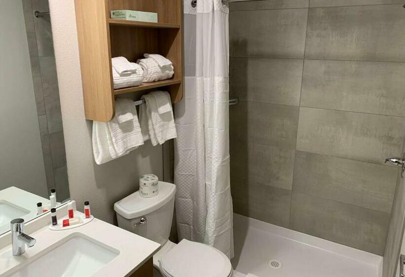 جناح, Microtel Inn & Suites By Wyndham Georgetown Lake