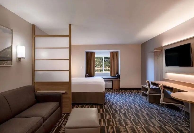 سوییت, Microtel Inn & Suites By Wyndham Georgetown Lake