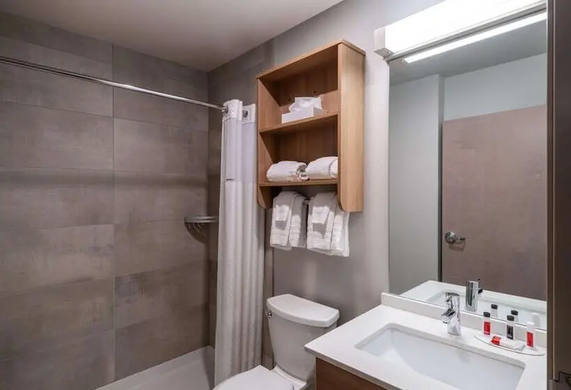 اتاق استاندارد با 2 تخت دوبل, Microtel Inn & Suites By Wyndham Georgetown Lake