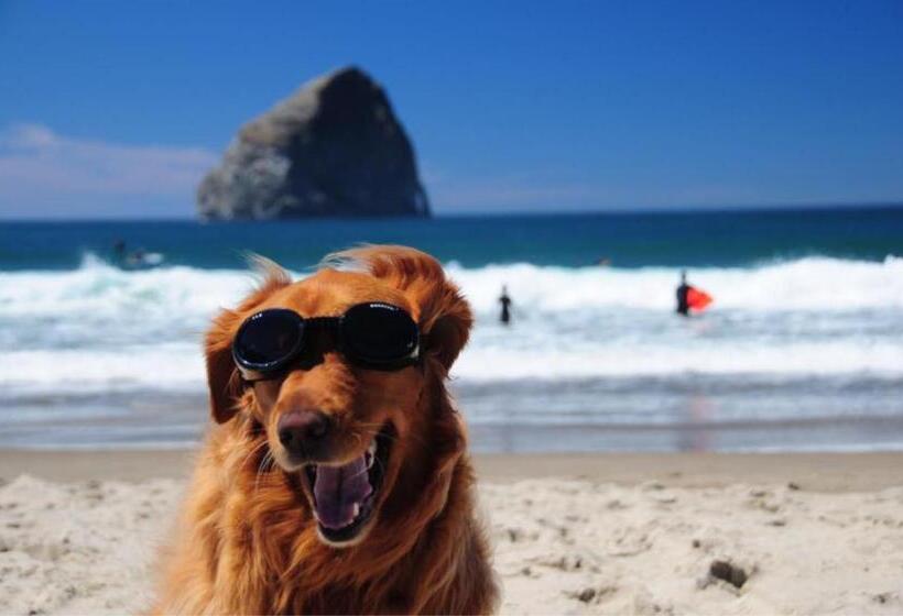 스탠다드 룸 킹사이즈 침대, Inn At Cape Kiwanda