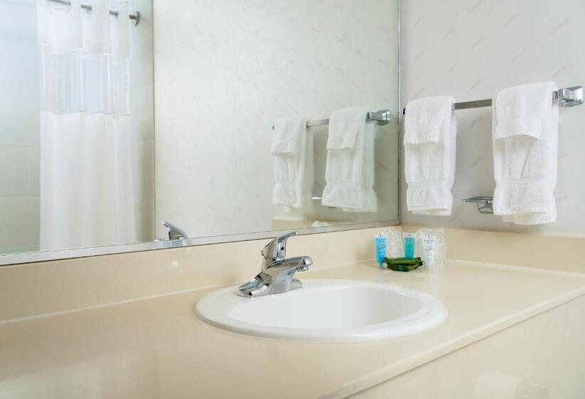 带2个双人床的标准工作室, Mcm Eleganté Hotel & Conference Center