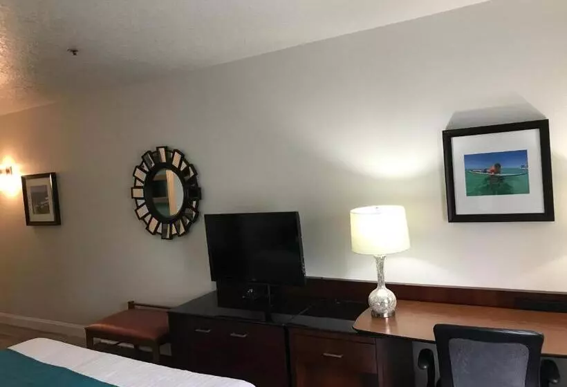 اتاق استاندارد در طبقه همکف, Pensacola