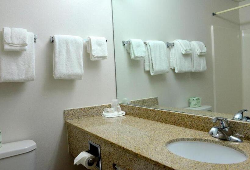 キングサイズベッドのスーペリアルーム, The Great Falls Inn By Riversage