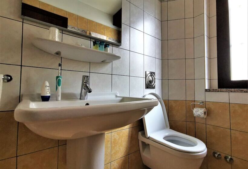 اتاق استاندارد یک نفره, Venini