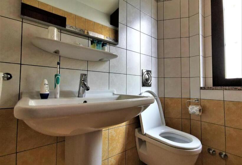 اتاق استاندارد یک نفره, Venini