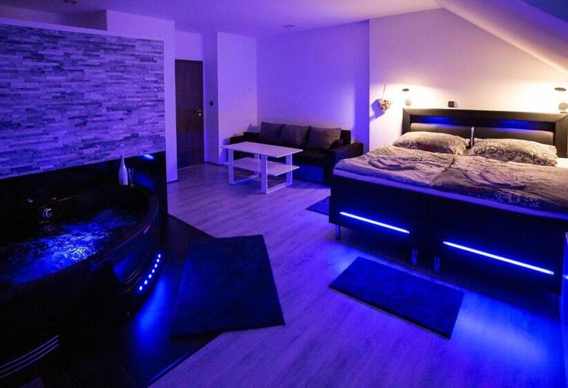 דירת חדר דלוקס, Apartmány U Solišů