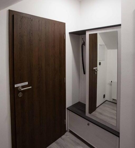 דירת חדר דלוקס, Apartmány U Solišů