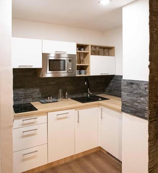 דירת חדר, Apartmány U Solišů