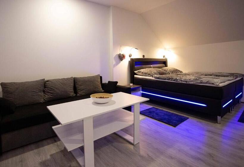 דירת חדר דלוקס, Apartmány U Solišů