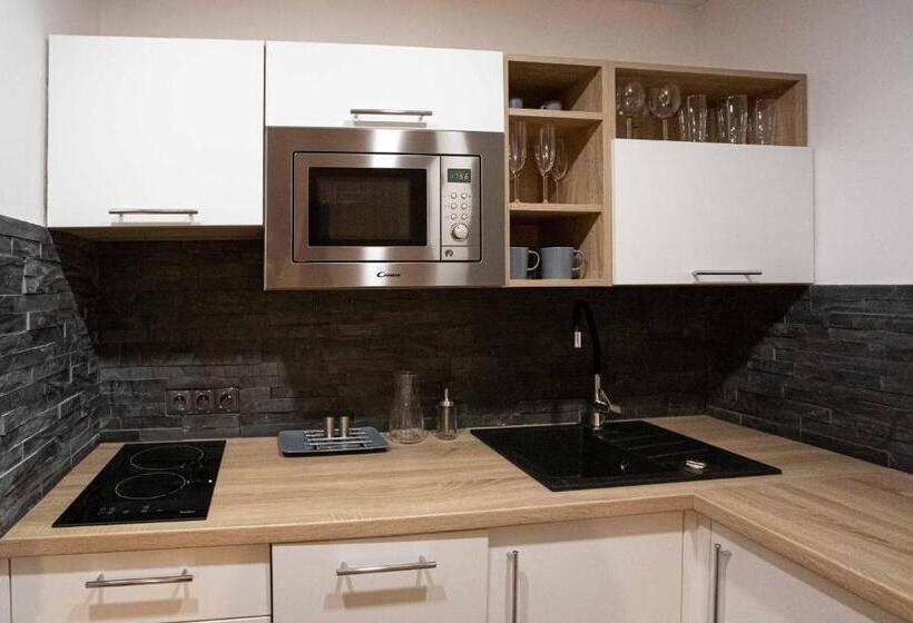 １ベッドルームアパートメント, Apartmány U Solišů