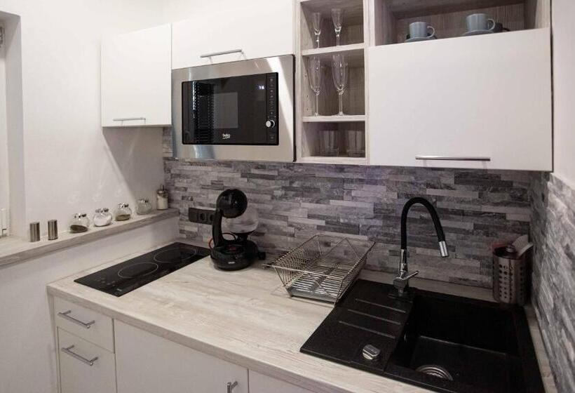 １ベッドルームのデラックスアパートメント, Apartmány U Solišů