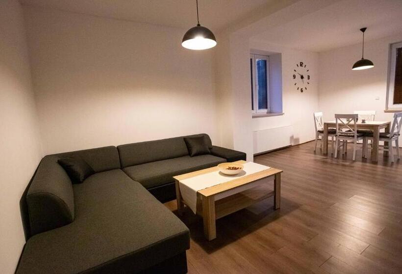 דירת חדר, Apartmány U Solišů