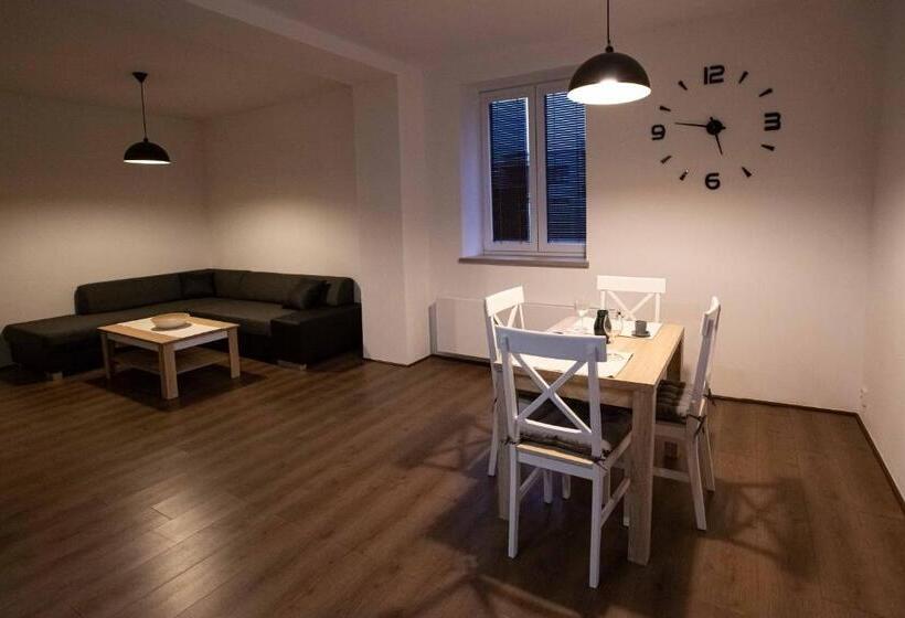 דירת חדר, Apartmány U Solišů