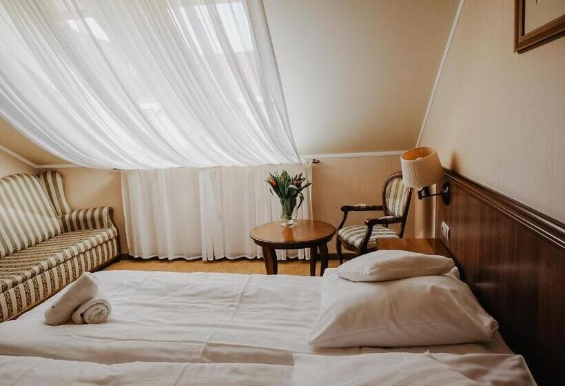 스탠다드 싱글 룸, Delfin Spa&wellness