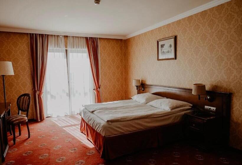 디럭스 룸, Delfin Spa&wellness