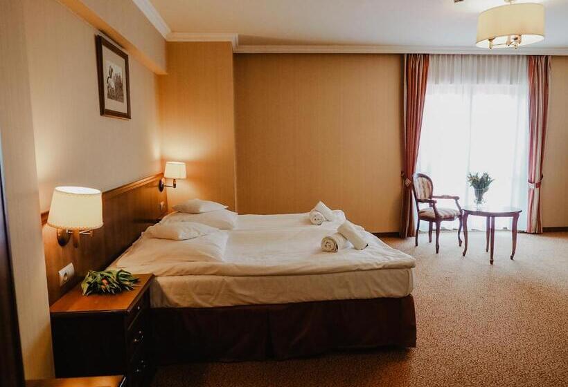 Номер Deluxe, Delfin Spa&wellness
