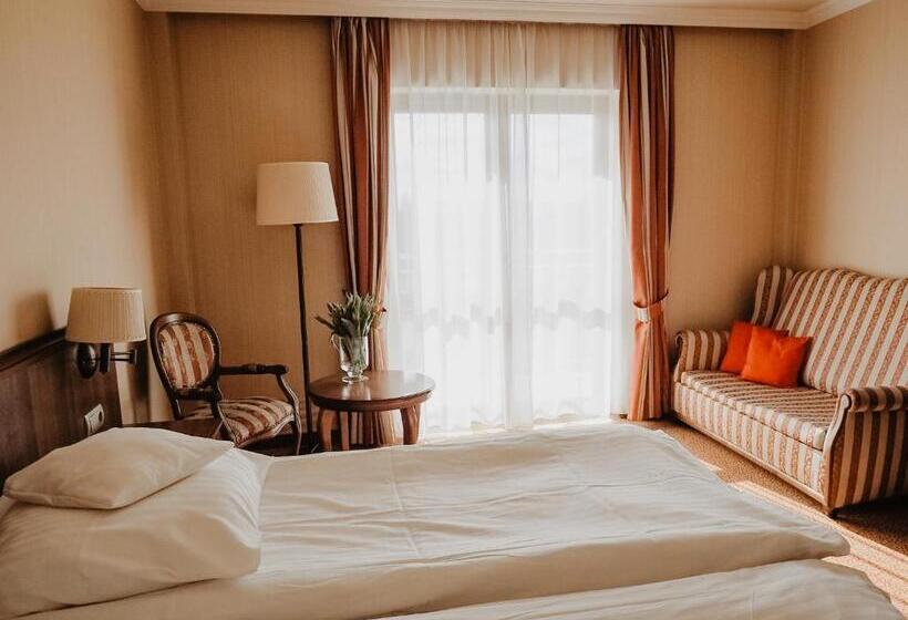 스탠다드 발코니 룸, Delfin Spa&wellness