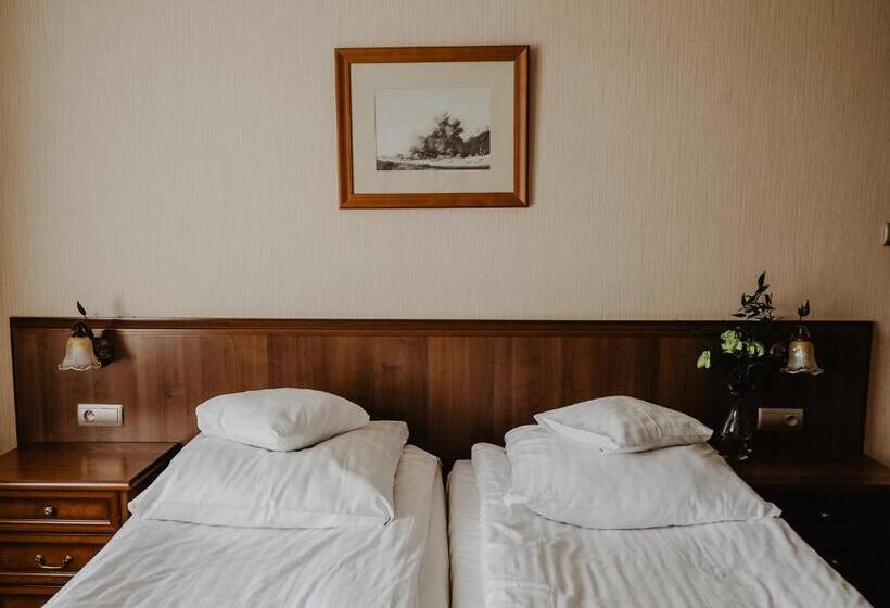 장애인을 위한 스탠다드 룸, Delfin Spa&wellness