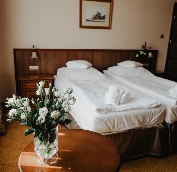 Номер Стандарт Адаптированный для Инвалидов, Delfin Spa&wellness