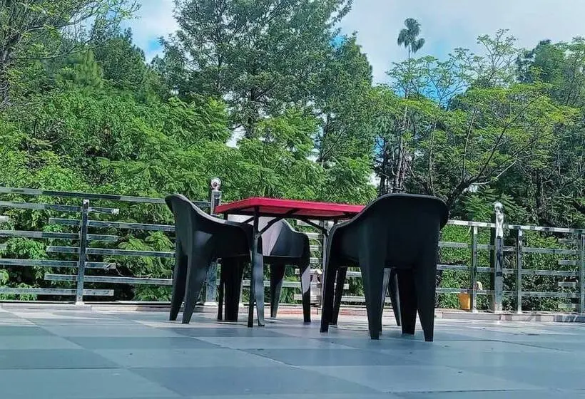 デラックスルーム, Sunny Pines Resort