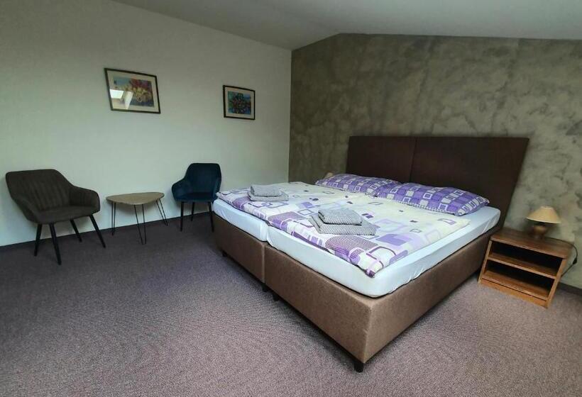 חדר סטנדרט, Penzion Bily Beranek