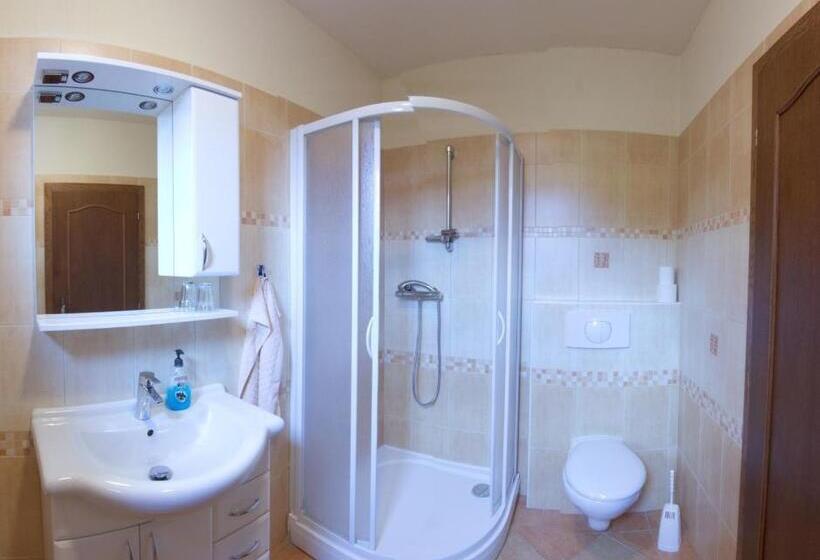 חדר סטנדרט יחיד, Penzion Bily Beranek