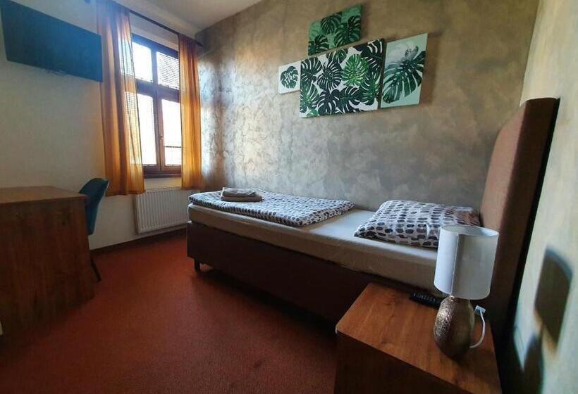 חדר סטנדרט יחיד, Penzion Bily Beranek