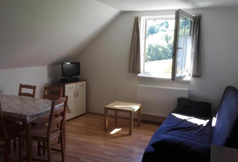 带1个卧室的公寓, Penzion Kabourek