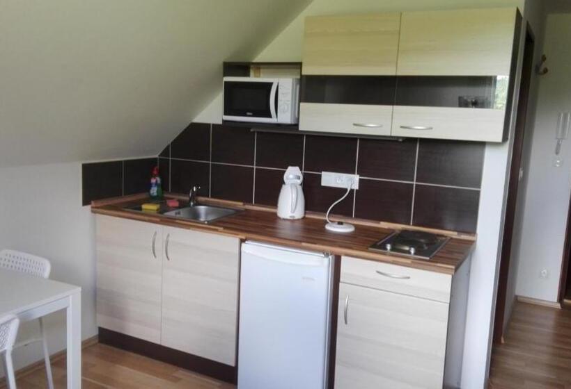 标准工作室, Penzion Kabourek