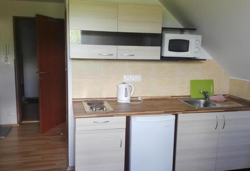 标准工作室, Penzion Kabourek