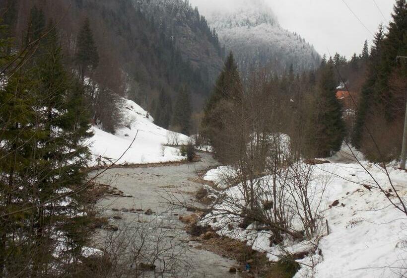 חדר סטנדרט, Pensiunea Izbucul Tauz