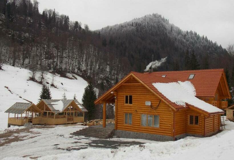 חדר סטנדרט, Pensiunea Izbucul Tauz