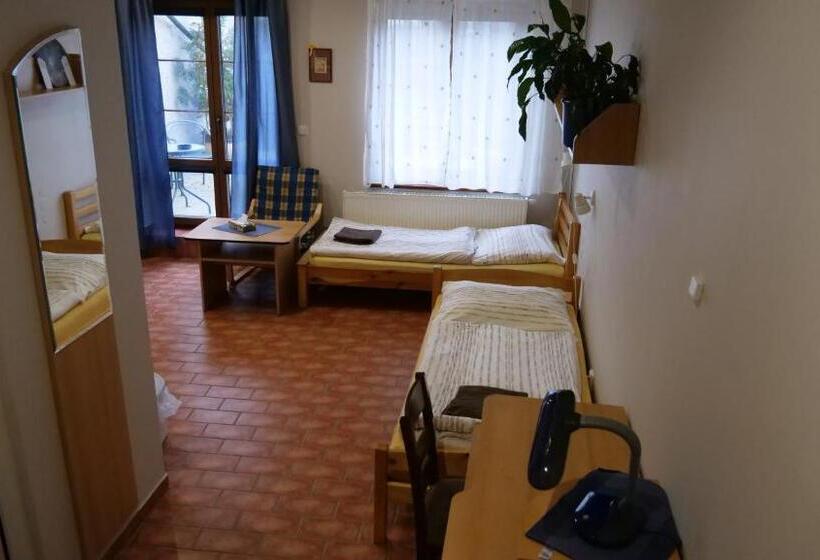 חדר סטנדרט עם טרסה, Penzion Na Hradbách