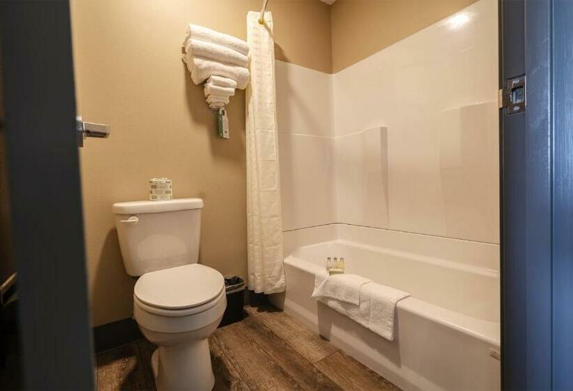 스탠다드 룸 킹사이즈 침대, Cobblestone Inn & Suites  Trenton
