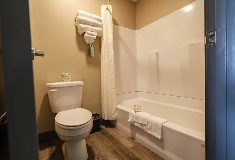 キングサイズベッドのスタンダードルーム, Cobblestone Inn & Suites  Trenton