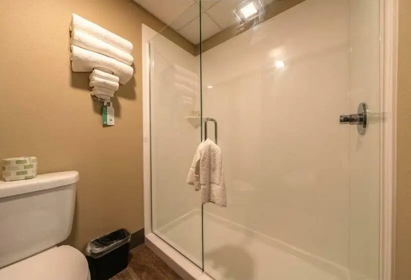 キングサイドベッドのスタンダードワンルーム, Cobblestone Inn & Suites  Trenton